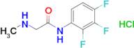 2-(Methylamino)-n-(2,3,4-trifluorophenyl)acetamide hydrochloride