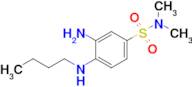 3-Amino-4-(butylamino)-n,n-dimethylbenzene-1-sulfonamide