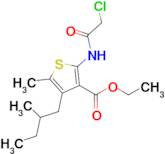 Ethyl 2-(2-chloroacetamido)-5-methyl-4-(2-methylbutyl)thiophene-3-carboxylate