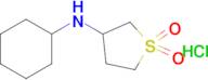 N-cyclohexyltetrahydro-3-Thiophenamine-1,1-dioxide, hydrochloride (1:1)