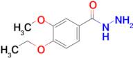 4-Ethoxy-3-methoxybenzohydrazide