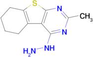 4-Hydrazinyl-5,6,7,8-tetrahydro-2-methyl[1]benzothieno[2,3-d]pyrimidine