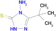 4-amino-3-tert-butyl-4,5-dihydro-1H-1,2,4-triazole-5-thione