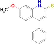 7-methoxy-4-phenyl-1,2-dihydroquinoline-2-thione
