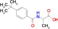 2-[(4-tert-butylphenyl)formamido]propanoic acid