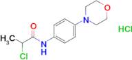 2-Chloro-n-[4-(morpholin-4-yl)phenyl]propanamide hydrochloride