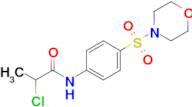 2-Chloro-n-[4-(morpholine-4-sulfonyl)phenyl]propanamide