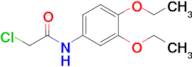 2-Chloro-n-(3,4-diethoxyphenyl)acetamide