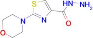 2-(Morpholin-4-yl)-1,3-thiazole-4-carbohydrazide