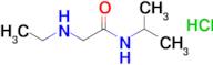 2-(Ethylamino)-n-(propan-2-yl)acetamide hydrochloride