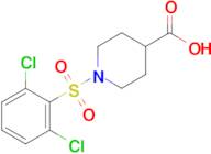 1-(2,6-Dichlorobenzenesulfonyl)piperidine-4-carboxylic acid