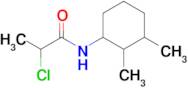 2-chloro-N-(2,3-dimethylcyclohexyl)-Propanamide