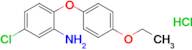 5-Chloro-2-(4-ethoxyphenoxy)aniline hydrochloride