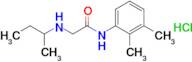 2-[(butan-2-yl)amino]-n-(2,3-dimethylphenyl)acetamide hydrochloride