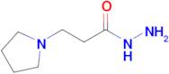 3-(Pyrrolidin-1-yl)propanehydrazide