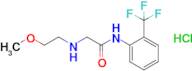 2-[(2-methoxyethyl)amino]-n-[2-(trifluoromethyl)phenyl]acetamide hydrochloride