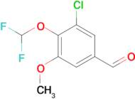 3-Chloro-4-(difluoromethoxy)-5-methoxybenzaldehyde