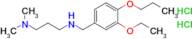 [3-(dimethylamino)propyl][(3-ethoxy-4-propoxyphenyl)methyl]amine dihydrochloride