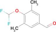 4-(Difluoromethoxy)-3,5-dimethylbenzaldehyde