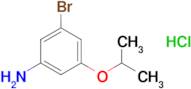 3-Bromo-5-(propan-2-yloxy)aniline hydrochloride