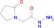 2-(2-Oxopyrrolidin-1-yl)acetohydrazide