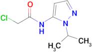 2-Chloro-n-[1-(propan-2-yl)-1h-pyrazol-5-yl]acetamide