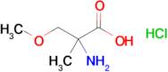 2-Amino-3-methoxy-2-methylpropanoic acid hydrochloride