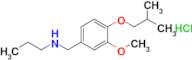 {[3-methoxy-4-(2-methylpropoxy)phenyl]methyl}(propyl)amine hydrochloride