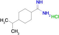 4-(Propan-2-yl)cyclohexane-1-carboximidamide hydrochloride