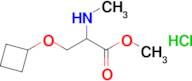 Methyl 3-cyclobutoxy-2-(methylamino)propanoate hydrochloride
