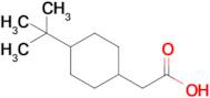 2-(4-tert-Butylcyclohexyl)acetic acid