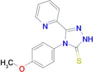 4-(4-methoxyphenyl)-3-(pyridin-2-yl)-4,5-dihydro-1H-1,2,4-triazole-5-thione