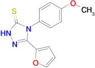 3-(furan-2-yl)-4-(4-methoxyphenyl)-4,5-dihydro-1H-1,2,4-triazole-5-thione