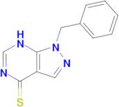 1-benzyl-1H,4H,7H-pyrazolo[3,4-d]pyrimidine-4-thione