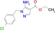 Ethyl 5-amino-1-[(4-chlorophenyl)methyl]-1h-pyrazole-4-carboxylate