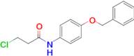 n-[4-(benzyloxy)phenyl]-3-chloropropanamide