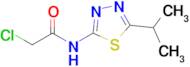 2-Chloro-n-[5-(propan-2-yl)-1,3,4-thiadiazol-2-yl]acetamide