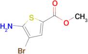 Methyl 5-amino-4-bromothiophene-2-carboxylate