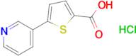 5-(Pyridin-3-yl)thiophene-2-carboxylic acid hydrochloride