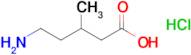 5-Amino-3-methylpentanoic acid hydrochloride