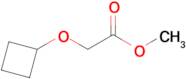 Methyl 2-cyclobutoxyacetate