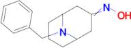 n-{9-benzyl-9-azabicyclo[3.3.1]nonan-3-ylidene}hydroxylamine