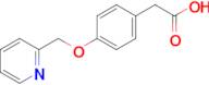 2-[4-(pyridin-2-ylmethoxy)phenyl]acetic acid