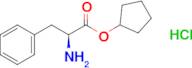 Cyclopentyl (2s)-2-amino-3-phenylpropanoate hydrochloride
