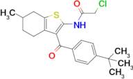 n-[3-(4-tert-Butylbenzoyl)-6-methyl-4,5,6,7-tetrahydro-1-benzothiophen-2-yl]-2-chloroacetamide