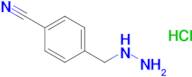 4-(Hydrazinylmethyl)benzonitrile hydrochloride