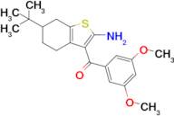 6-tert-Butyl-3-(3,5-dimethoxybenzoyl)-4,5,6,7-tetrahydro-1-benzothiophen-2-amine