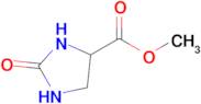 Methyl 2-oxoimidazolidine-4-carboxylate