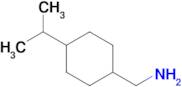 [4-(propan-2-yl)cyclohexyl]methanamine