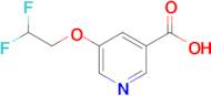 5-(2,2-Difluoroethoxy)pyridine-3-carboxylic acid